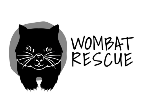 Wombat Rescue